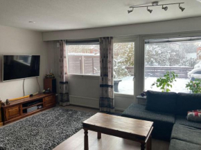 Hillside apartment Rovaniemi